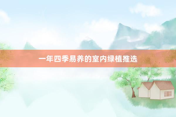 一年四季易养的室内绿植推选